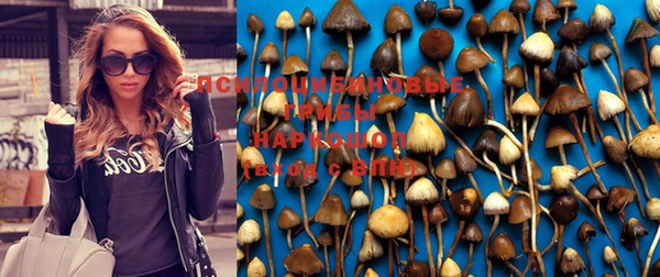 наркотики Вяземский